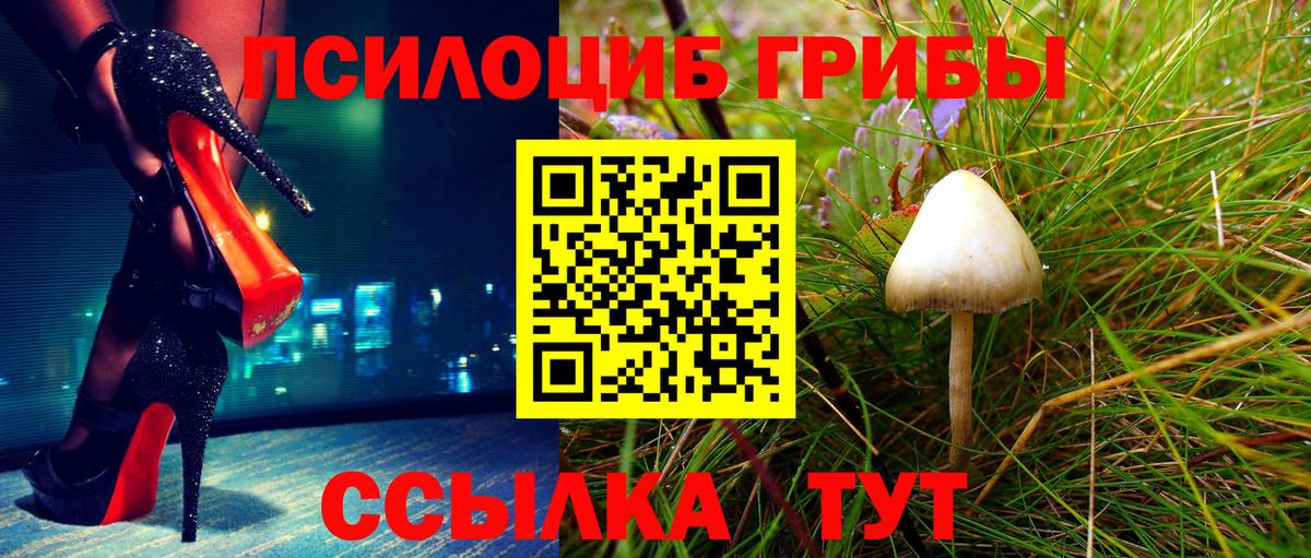 Когалым  Галлюциногенные грибы ЛСД  наркотики  Вход с VPN 